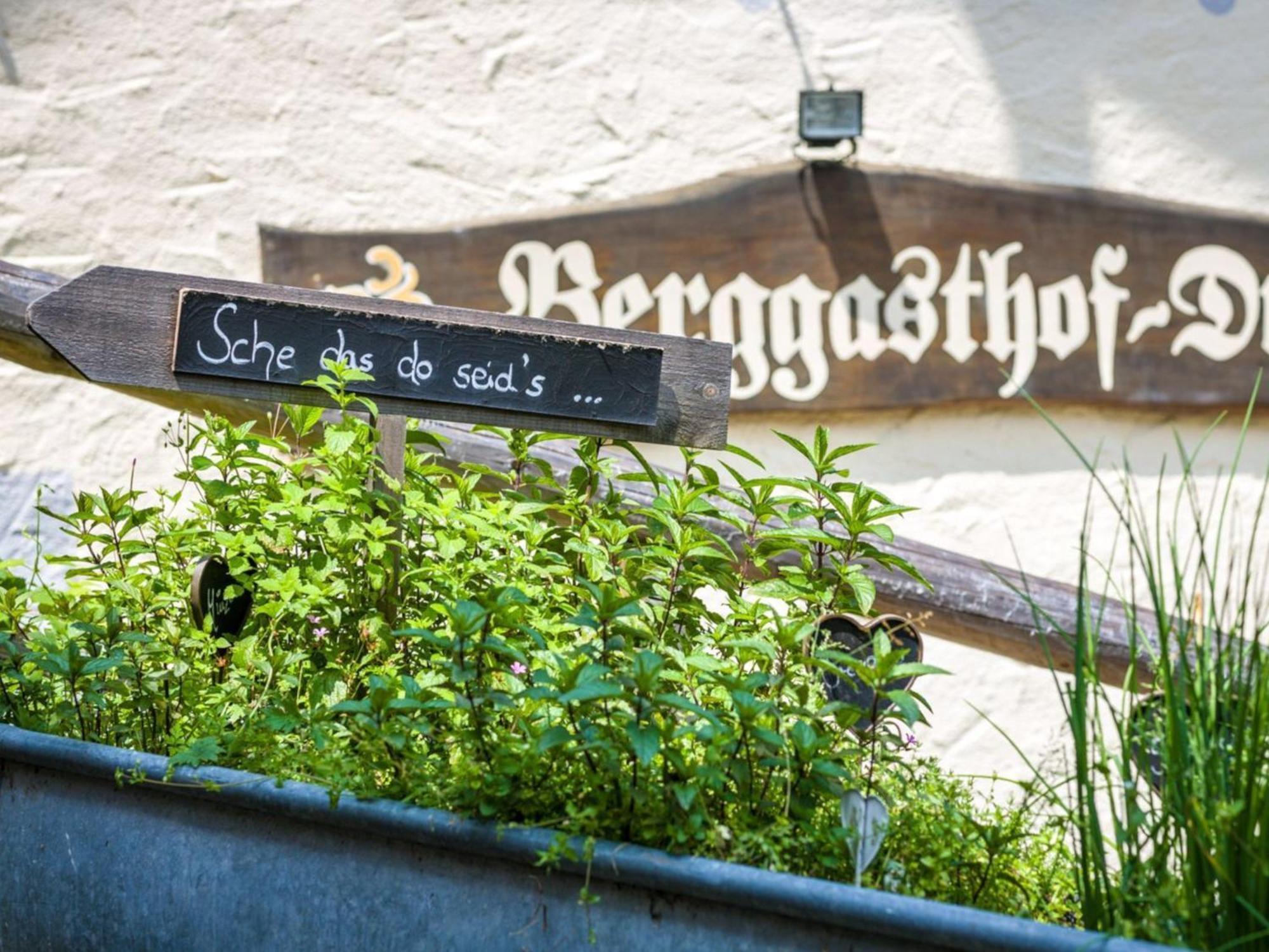 Hotel Berggasthof Duftbraeu I Ruhige Alleinlage I Mitten Im Gruenen